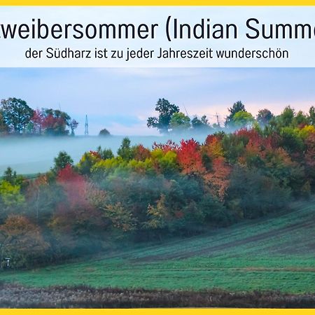 Marks Ferienwohnung In Bad Sachsa - Waldnah, Hundefreundlich, Ruhig! Ideal Fuer Paare Mit Hund Exteriör bild
